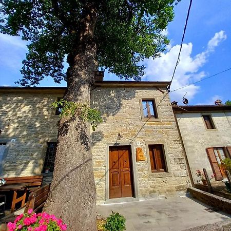 Casina La Quercia Apartment Santa Sofia Bagian luar foto
