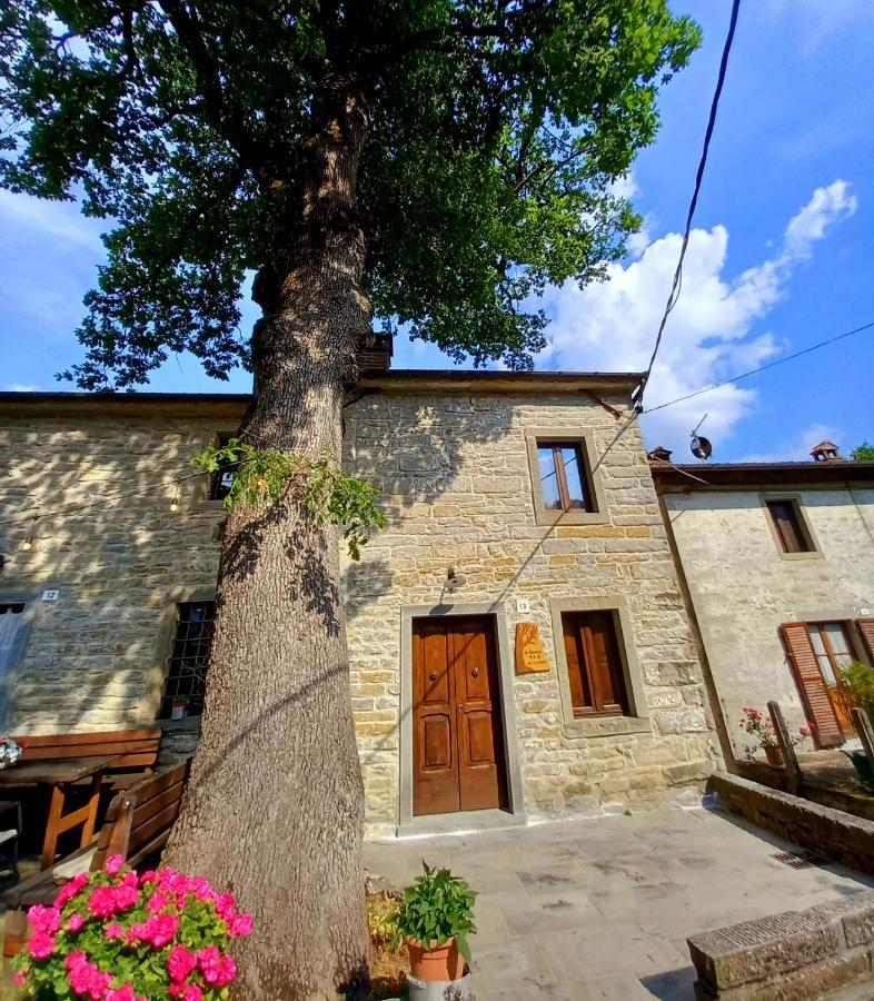 Casina La Quercia Apartment Santa Sofia Bagian luar foto