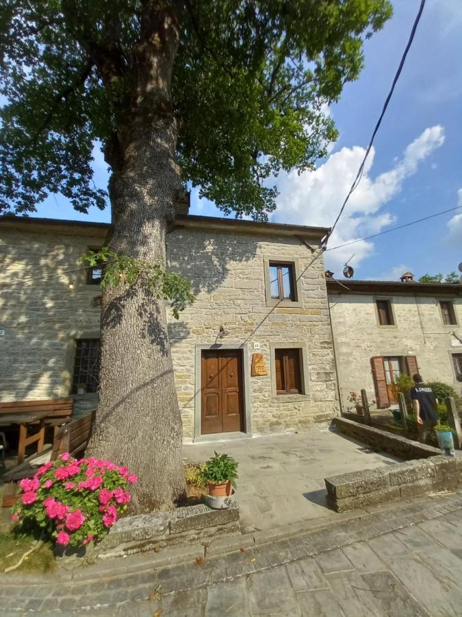 Casina La Quercia Apartment Santa Sofia Bagian luar foto