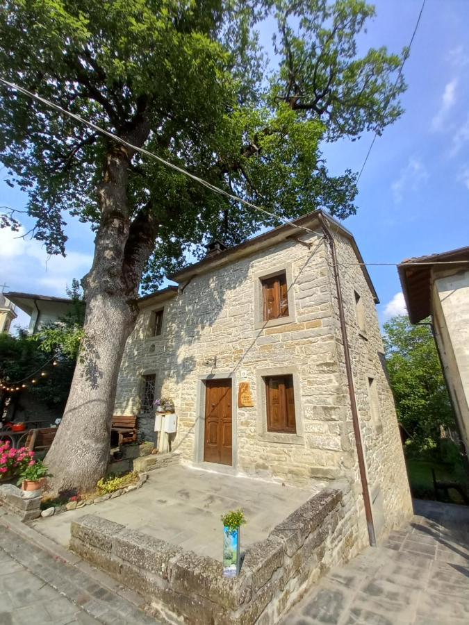Casina La Quercia Apartment Santa Sofia Bagian luar foto