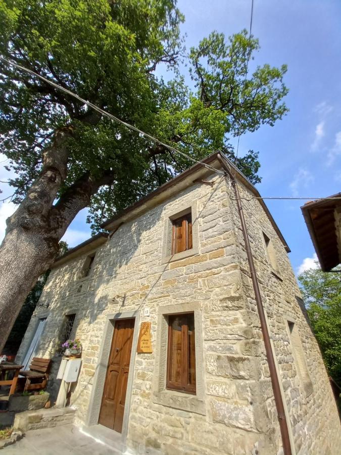 Casina La Quercia Apartment Santa Sofia Bagian luar foto